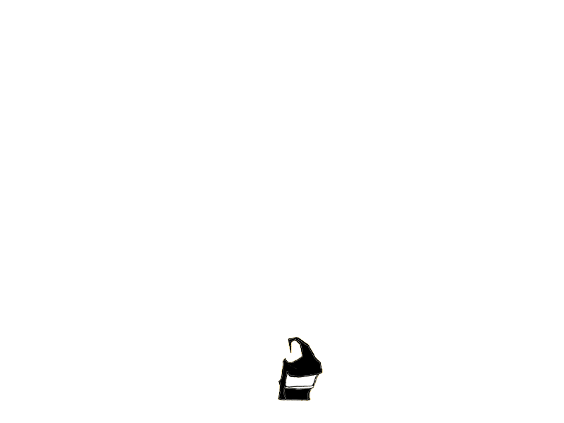 Artists Bio